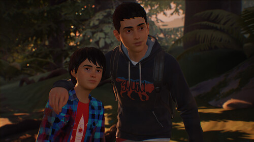 Купить Игра Life is Strange 2 - Episode 1 (Steam)  5484408. Характеристики, отзывы и цены в Донецке