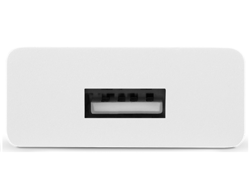 Купить Сетевое зарядное устройство TTEC SmartCharger белый  9140743. Характеристики, отзывы и цены в Донецке