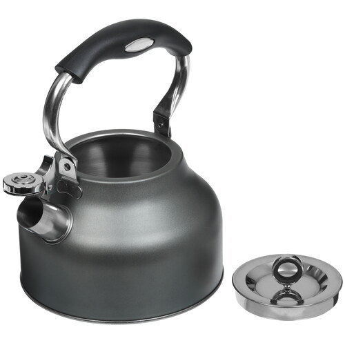 Купить Чайник для плиты Regent inox TEA 93-TEA-49 серый  5464013. Характеристики, отзывы и цены в Донецке