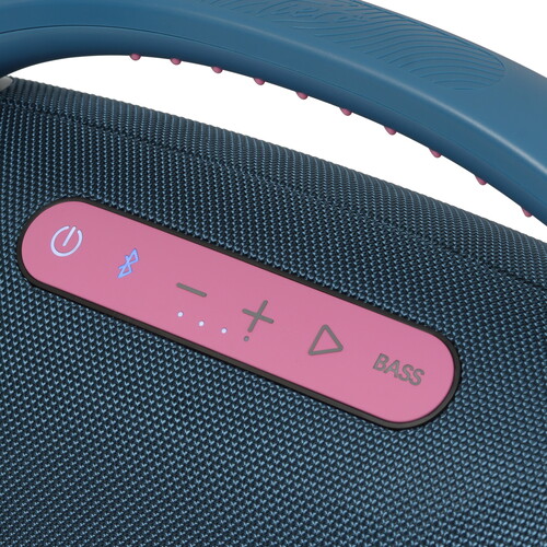 Купить Портативная колонка Fiero Lure Grande FRPS-540, синий  9096852. Характеристики, отзывы и цены в Донецке