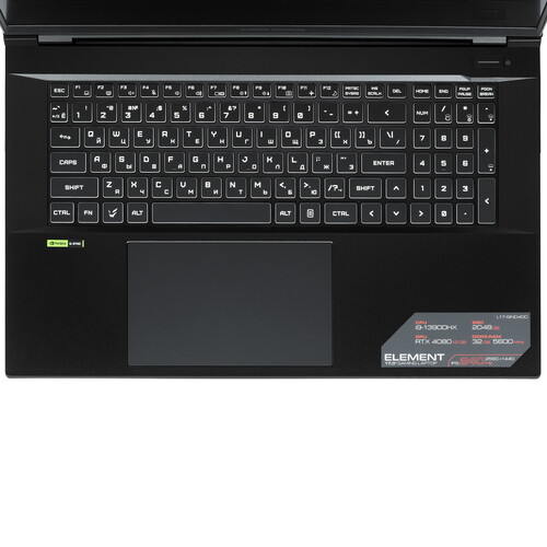Купить 17.3" Ноутбук ARDOR Gaming ELEMENT L17-I9ND400 черный  9083819. Характеристики, отзывы и цены в Донецке