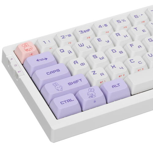 Купить Клавиатура проводная + беспроводная ARDOR GAMING Rabbit [AG-ZD-68GY-HS-W]  5401554. Характеристики, отзывы и цены в Донецке
