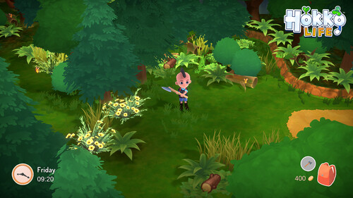 Купить Игра Hokko Life (Steam)  5618119. Характеристики, отзывы и цены в Донецке