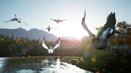 Купить Игра Hunting Simulator 2: Bear Hunter Edition (Steam)  5622354. Характеристики, отзывы и цены в Донецке