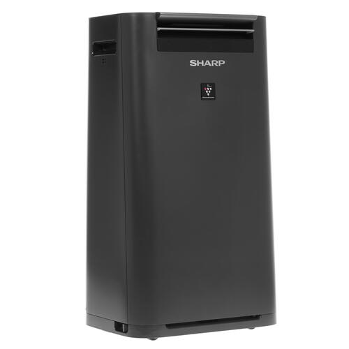 Купить Климатический комплекс Sharp KCG41RH черный  1168469. Характеристики, отзывы и цены в Донецке