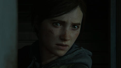 Купить Игра The Last of Us: Part II (PS4)  1399285. Характеристики, отзывы и цены в Донецке