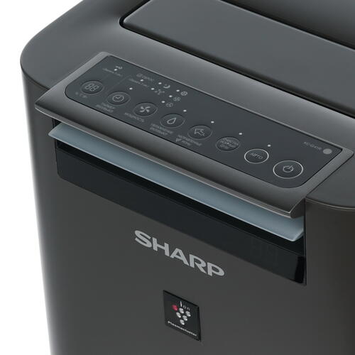 Купить Климатический комплекс Sharp KCG41RH черный  1168469. Характеристики, отзывы и цены в Донецке