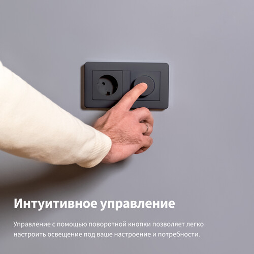 Купить Умный диммер AQARA H2 EU модель KD-R01D_gr  5648109. Характеристики, отзывы и цены в Донецке