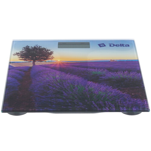 Купить Весы Delta D-9302 разноцветный  8124544. Характеристики, отзывы и цены в Донецке