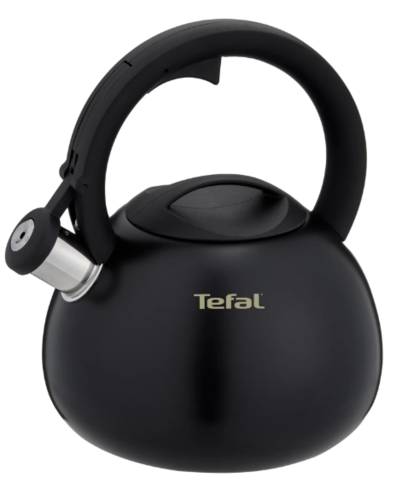 Купить Чайник для плиты Tefal N4180417 черный  9299056. Характеристики, отзывы и цены в Донецке