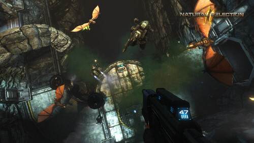 Купить Игра Natural Selection 2 (Steam)  5601569. Характеристики, отзывы и цены в Донецке