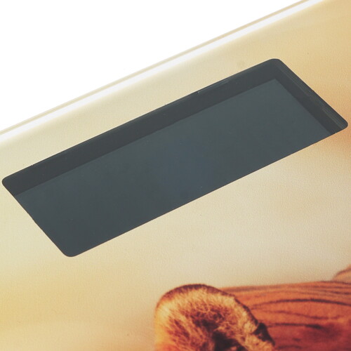 Купить Весы Яромир ЯР-4201 разноцветный  8128868. Характеристики, отзывы и цены в Донецке