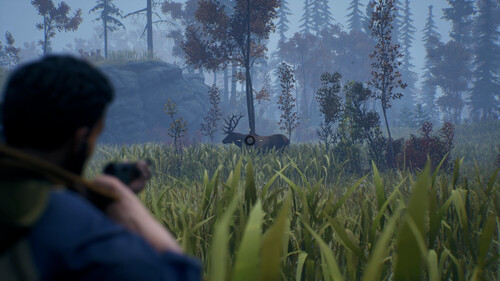 Купить Игра Open Country (Steam)  5622374. Характеристики, отзывы и цены в Донецке