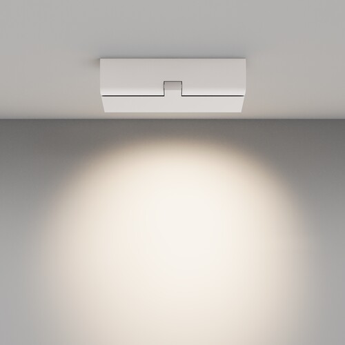 Купить Светильник потолочный Technical C136CL-12W4K-W белый/белый  9143096. Характеристики, отзывы и цены в Донецке