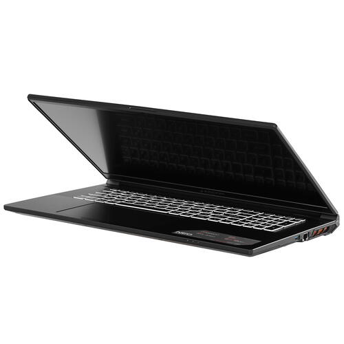 Купить 17.3" Ноутбук ARDOR GAMING NEO G17-I7ND304 черный  5407928. Характеристики, отзывы и цены в Донецке