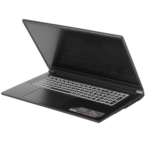 Купить 17.3" Ноутбук ARDOR Gaming EVO E17-I7ND401 черный  9083820. Характеристики, отзывы и цены в Донецке