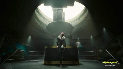 Купить Дополнение для игры Cyberpunk 2077: Phantom Liberty (GOG)  5625874. Характеристики, отзывы и цены в Донецке