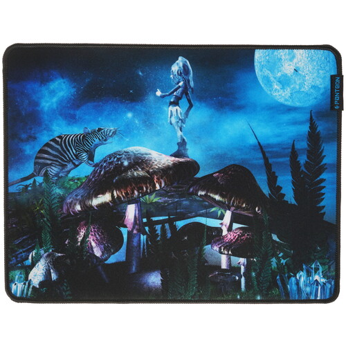 Купить Коврик JETACCESS PANTEON GP-95SS FAIRY PLANET  разноцветный  5309605. Характеристики, отзывы и цены в Донецке