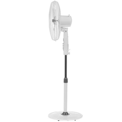 Купить Вентилятор Ballu BFF-802  белый  1631234. Характеристики, отзывы и цены в Донецке