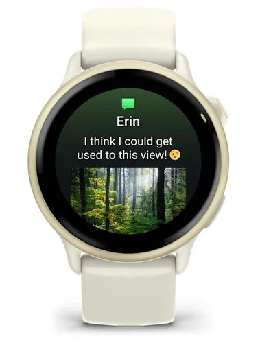 Купить Спортивные часы Garmin Vivoactive 6  5641803. Характеристики, отзывы и цены в Донецке