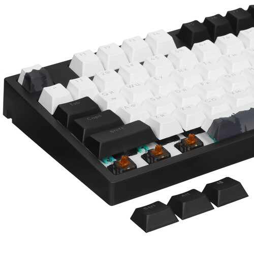 Купить Клавиатура  проводная Red Square Keyrox TKL Classic Noir  5445810. Характеристики, отзывы и цены в Донецке