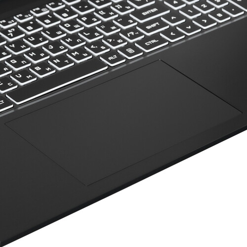 Купить 17.3" Ноутбук ARDOR Gaming EVO E17-I7ND402 черный  9083821. Характеристики, отзывы и цены в Донецке