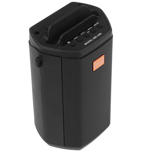 Купить Портативная колонка Max MR-280, черный  5360429. Характеристики, отзывы и цены в Донецке