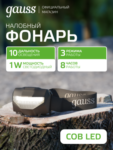 Купить Фонарь Gauss GFL306  9174966. Характеристики, отзывы и цены в Донецке