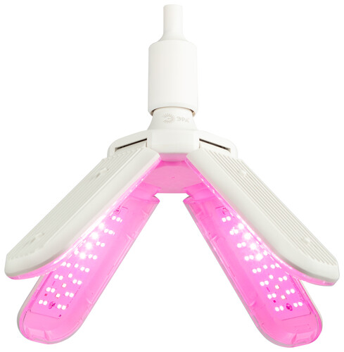 Купить Фитолампа ЭРА FITO-36W-RB-E27-FOLD розовый  9078785. Характеристики, отзывы и цены в Донецке