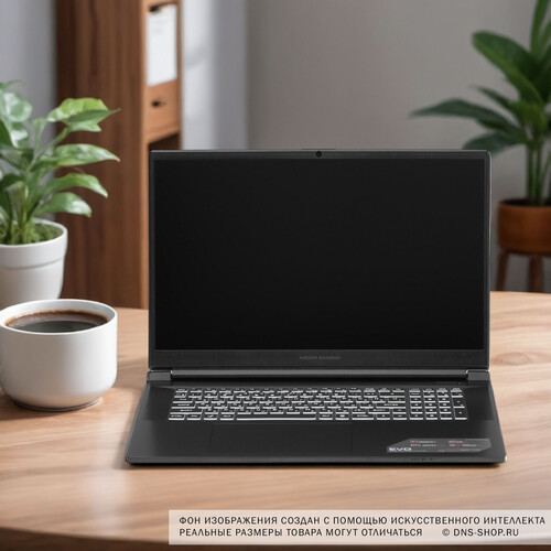 Купить 17.3" Ноутбук ARDOR Gaming EVO E17-I7ND402 черный  9083821. Характеристики, отзывы и цены в Донецке