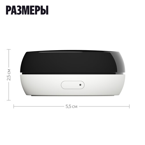 Купить Пульт управления Яндекс YNDX-00571  5648457. Характеристики, отзывы и цены в Донецке