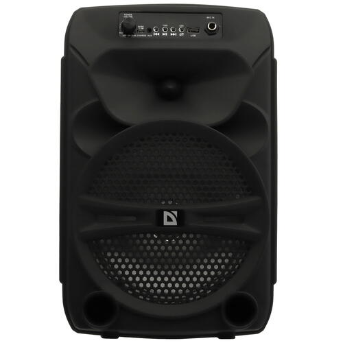 Купить Портативная колонка Defender G110, черный  5358715. Характеристики, отзывы и цены в Донецке