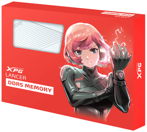 Купить Оперативная память ADATA XPG Lancer [AX5U6000C3032G-DCLAWH] 64 ГБ  5431923. Характеристики, отзывы и цены в Донецке