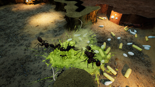 Купить Дополнение для игры Empires of the Undergrowth - Exploding Ants (Steam)  5624086. Характеристики, отзывы и цены в Донецке