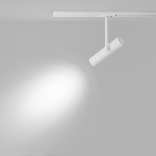 Купить Светильник трековый Maytoni TR005-1-GU10-W  9169882. Характеристики, отзывы и цены в Донецке