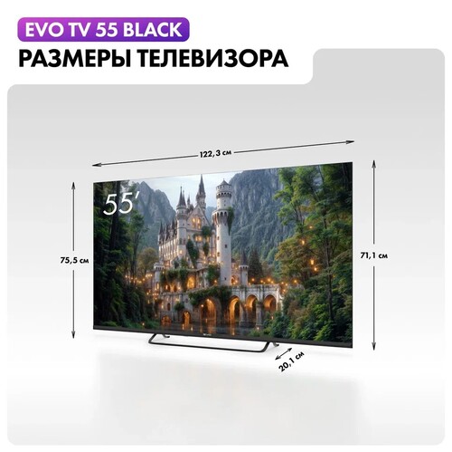 Купить 55" (139 см) Телевизор EVO TV 55 черный  5607218. Характеристики, отзывы и цены в Донецке