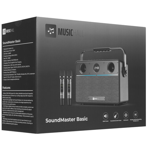 Купить Портативная аудиосистема MusicHall SoundMaster Basic, серый  5636564. Характеристики, отзывы и цены в Донецке
