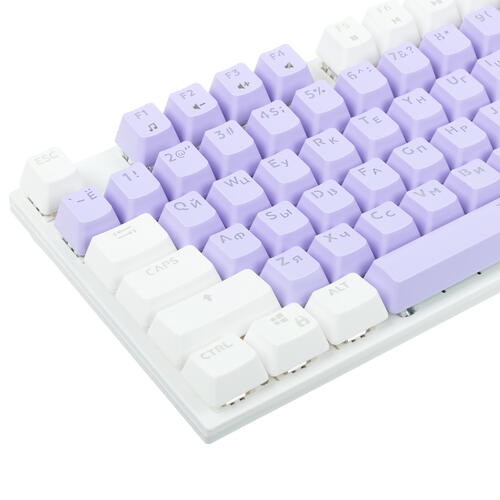 Купить Клавиатура проводная DEXP Widow  5025277. Характеристики, отзывы и цены в Донецке