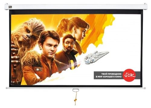 Купить 120" Экран для проектора SAKURA Cinema Wallscreen  1220915. Характеристики, отзывы и цены в Донецке