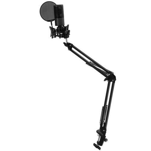 Купить Микрофонный комплект YANMAI X2 черный  5481951. Характеристики, отзывы и цены в Донецке