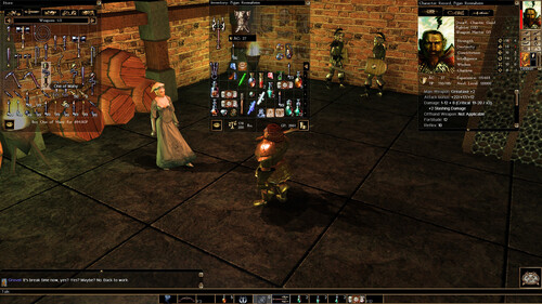 Купить Игра Neverwinter Nights: Enhanced Edition (Steam)  5634927. Характеристики, отзывы и цены в Донецке