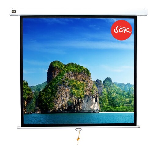 Купить 119" Экран для проектора SAKURA Cinema Wallscreen  1220924. Характеристики, отзывы и цены в Донецке