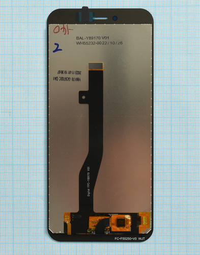 Купить Модуль (LCD + BKTP) для смартфона Oukitel WP5 Pro [LCD: FPC-Y89170_V01] [TP: N/A]  9968628. Характеристики, отзывы и цены в Донецке