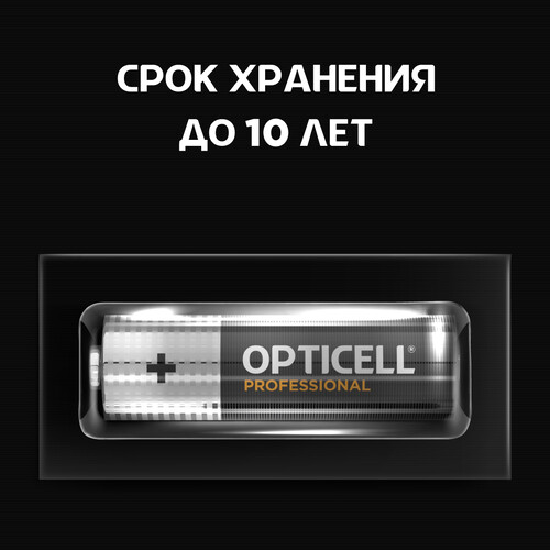 Купить Батарейка Opticell Professional AA (LR6/ER14505/FR6/R6P)  5443884. Характеристики, отзывы и цены в Донецке