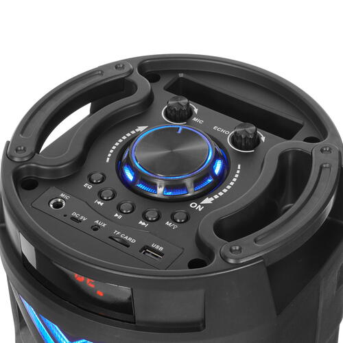Купить Портативная аудиосистема GINZZU GM-209, черный  8191075. Характеристики, отзывы и цены в Донецке