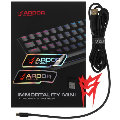 Купить Клавиатура  проводная + беспроводная ARDOR GAMING Immortality mini  5068394. Характеристики, отзывы и цены в Донецке