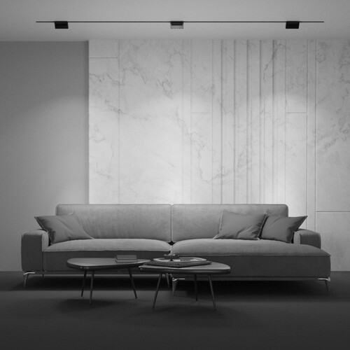 Купить Светильник трековый Maytoni TR013-2-10W4K-B  9169808. Характеристики, отзывы и цены в Донецке