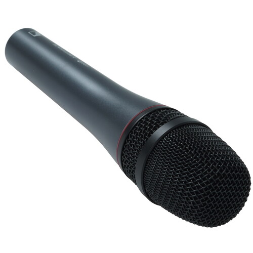 Купить Микрофон Sennheiser E 865 серый  9304179. Характеристики, отзывы и цены в Донецке