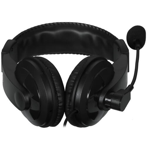 Купить Проводные наушники Oklick HS-M137V черный  4871345. Характеристики, отзывы и цены в Донецке