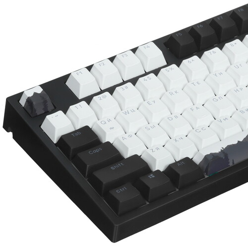 Купить Клавиатура проводная Red Square Keyrox TKL Classic Noir [RSQ-20042]  5445810. Характеристики, отзывы и цены в Донецке